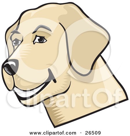 Clipart Illustration of a Friendly Yellow Lab Dog Grinning by David Rey
