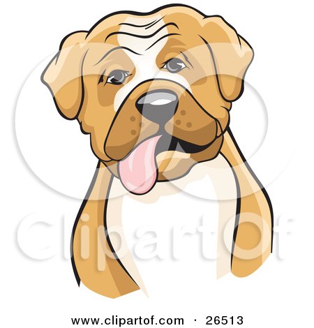 Clipart Illustration of a Friendly Tan And White Boxer Dog With His Tongue Hanging Out Of His Mouth by David Rey