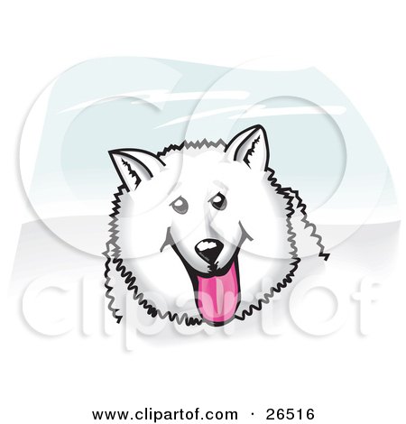 Clipart Illustration of a Fluffy And Friendly White American Eskimo Dog Hanging Its Pink Tongue Out by David Rey