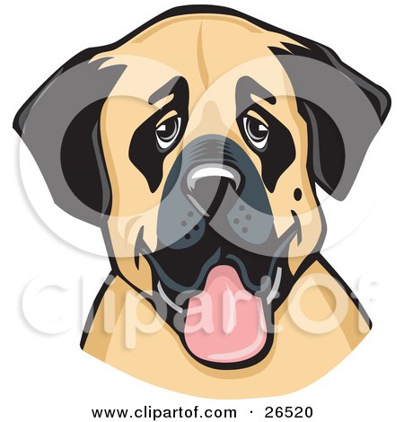 Clipart Illustration of a Friendly Anatolian Shepherd Dog Hanging Its Tongue Out by David Rey