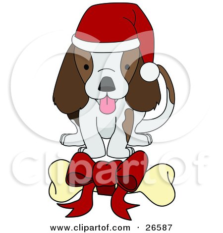 Clipart Illustration of an Adorable Brown And White Puppy Dog Wearing A Santa Hat And Wagging Its Tail While Eying A Bone With A Red Bow On It by AtStockIllustration