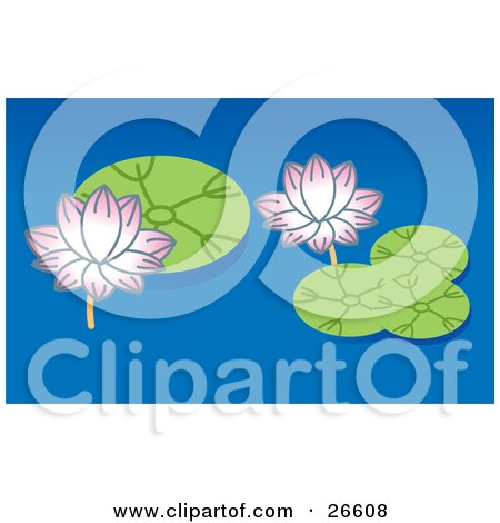 Clipart Illustration of Two Pink Lotus Flowers And Green Lilypads On A Blue Pond by NoahsKnight