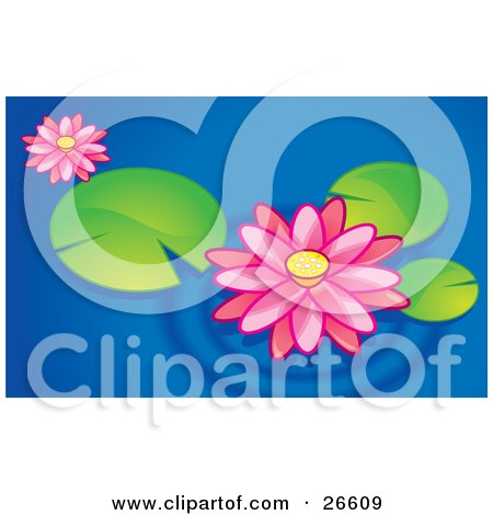 Clipart Illustration of Two Pink Lotus Flowers Floating With Lilypads On A Blue Pond by NoahsKnight