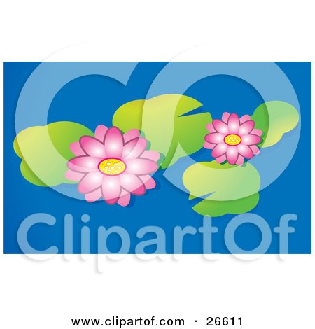 Clipart Illustration of Two Pink Water Lilies Floating With Lily Pads On A Blue Pond by NoahsKnight