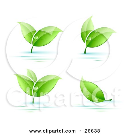 Clipart Illustration of Four Sprigs Of Leaves Wet With Dew Drops Over A Blue And White Background by beboy