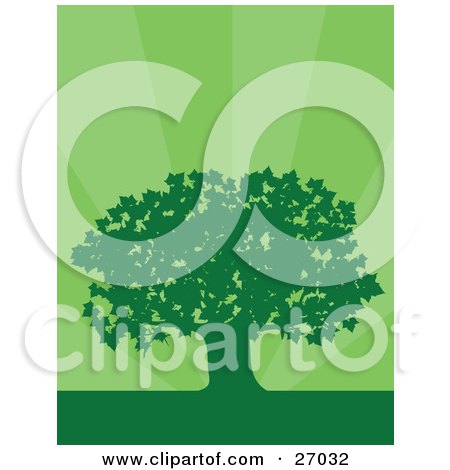 Clipart Illustration of a Green Silhouetted Maple Tree Over a Bursting Green Background by Maria Bell
