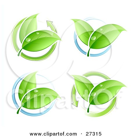 Clipart Illustration of Four Sets Of Leaves With Dew, Circled By Blue Rings Or Green Arrows by beboy