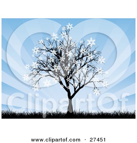Clipart Illustration of a Bare Silhouetted Tree With Snowflakes Sticking To The Tips Of The Branches, With Tall Grasses And A Bursting Blue Background by KJ Pargeter