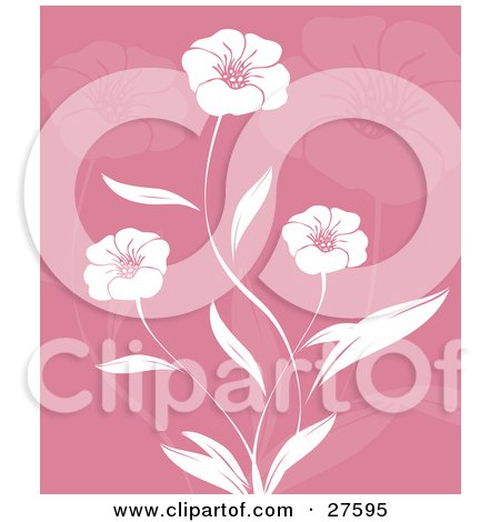 Clipart Illustration of Three Beautiful White Flowers And Leaves Over A Pink Background With Faded Flowers by KJ Pargeter