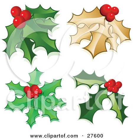 Clipart Illustration of a Collection Of Holly Leaves And Berries, Including Golden Holly by KJ Pargeter