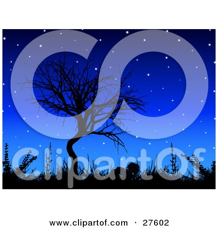 Clipart Illustration of a Bare Tree And Grasses Silhouetted Against A Blue Night Sky With Glowing Stars by KJ Pargeter