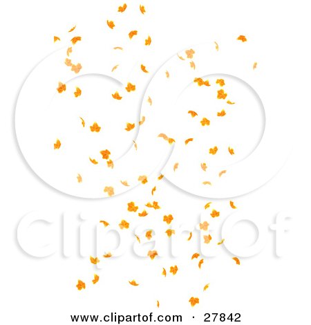 Clipart Illustration of Orange Autumn Leaves Falling Down Over A White Background by KJ Pargeter