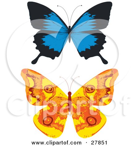 Clipart Illustration of Blue And Black And Orange And Yellow Butterflies by KJ Pargeter