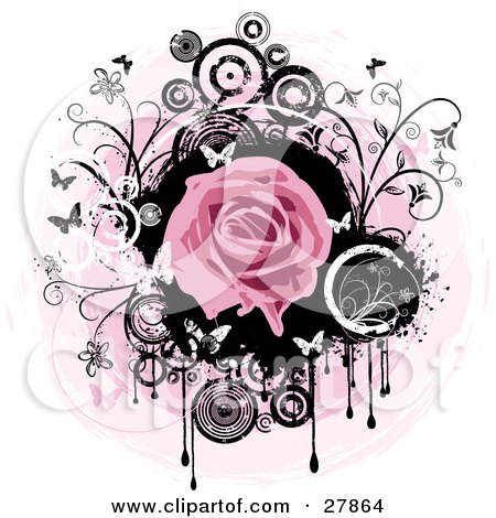Clipart Illustration of a Blooming Pink Rose Over A Black Circle With Dripping Paint, Black And White Flowers, Circles And Butterflies Over A Pink And White Background by KJ Pargeter