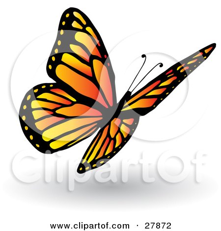 Clipart Illustration of a Pretty Orange And Yellow Butterfly With Black Markings And Spots by KJ Pargeter