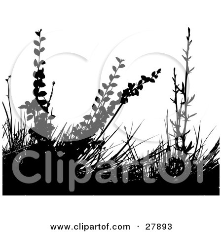 Clipart Illustration of Black Silhouetted Foliage And Grasses Over A White Background by KJ Pargeter