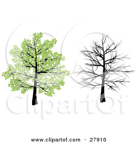 Clipart Illustration of a Tree With Green Spring Leaves And With Bare Branches Over A White Background by KJ Pargeter