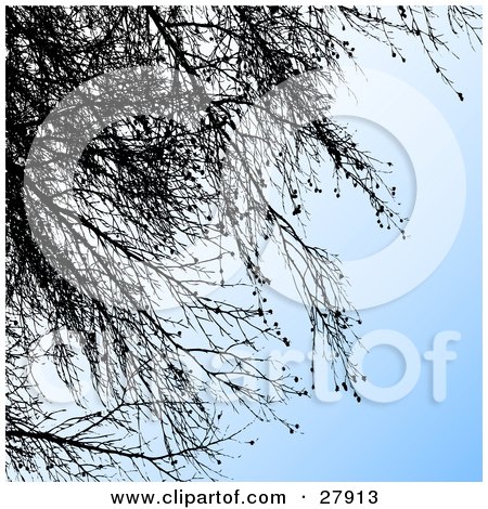 Clipart Illustration of a Gradient Blue Background With Black Silhouetted Tree Branches by KJ Pargeter