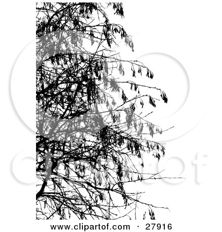 Clipart Illustration of Bare Tree Branches Silhouetted In Black Over White by KJ Pargeter