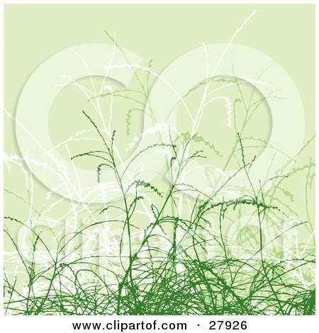 Clipart Illustration of a Background Of Pale Green, White And Green Grasses by KJ Pargeter