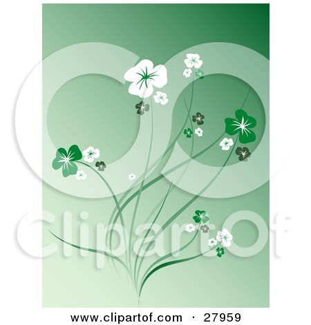 Clipart Illustration of a Gradient Green Background With White And Green Flowers On Stems by KJ Pargeter