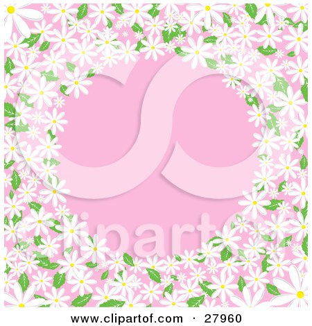 Clipart Illustration of a White Daisy Flowers With Green Leaves, Circling Around A Pink Background by KJ Pargeter