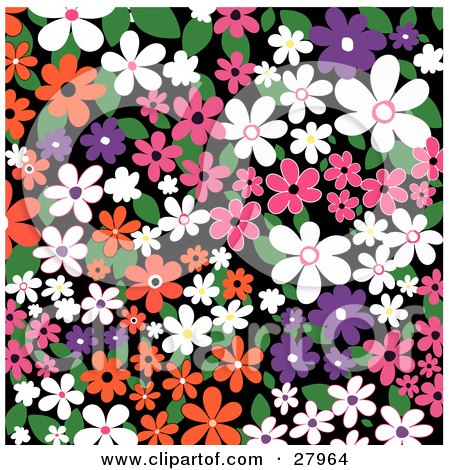 Clipart Illustration of a Colorful Background Of White, Orange, Pink And Purple Flowers And Leaves Over Black by KJ Pargeter