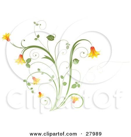 Clipart Illustration of Orange Bell Flowers On A Green Plant Over A White Background by KJ Pargeter