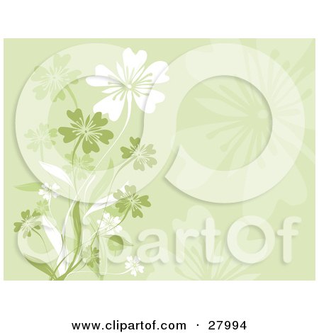 Clipart Illustration of a Background Of Faded, Green And White Flowers On Stems by KJ Pargeter