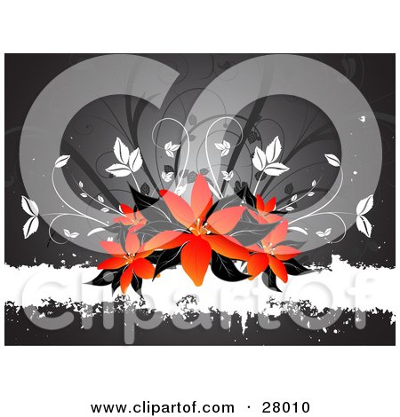 Clipart Illustration of a Cluster Of Red And Orange Lily Flowers With Black Leaves On Top Of A Grunge White Text Bar With A Gray Background And White And Gray Leaves by KJ Pargeter