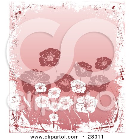 Clipart Illustration of a Background Of White And Pink Flowers, Bordered By White Grunge by KJ Pargeter