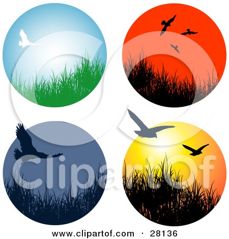 Clipart Illustration of a Set Of Four Wildlife Birds Flying Over Grasses In Circle Icons by KJ Pargeter