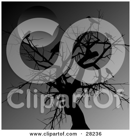 Clipart Illustration of Crows Perched On A Silhouetted Tree In The Moonlight On A Dark Night by KJ Pargeter