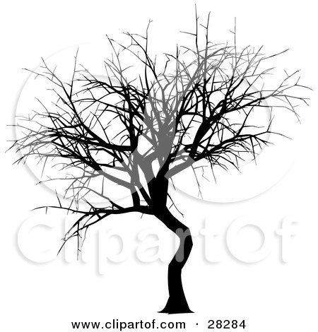 Clipart Illustration of a Black Silhouetted Bare Tree In Winter by KJ Pargeter