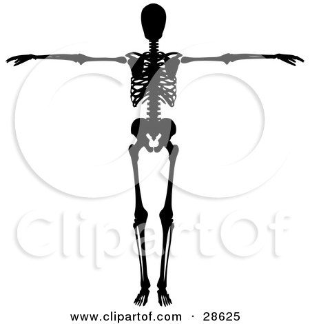 Clipart Illustration of a Black Silhouetted Skeleton Holding Its Arms Out To The Side by KJ Pargeter