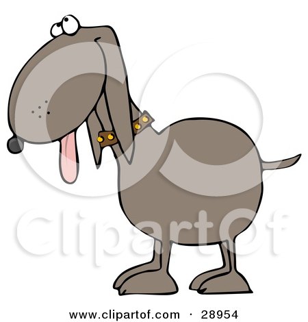 Clipart Illustration of a Happy Brown Mutt Dog Hanging His Tongue Out And Looking Upwards by djart