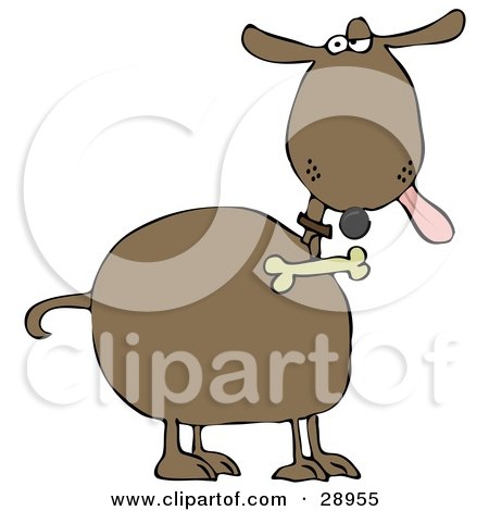 Clipart Illustration of a Brown Dog Hanging His Tongue Out And Giving An Annoyed Look, A Bone Hanging From His Collar by djart