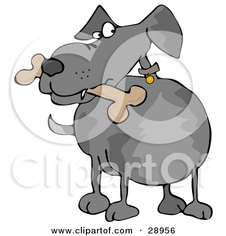 Clipart Illustration of a Paranoid Gray Dog Looking To The Side While Carrying A Bone In His Mouth by djart