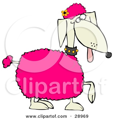 Clipart Illustration of a Poodle Dog With Pink Tufts Of Hair And A Yellow Flower On Its Head by djart
