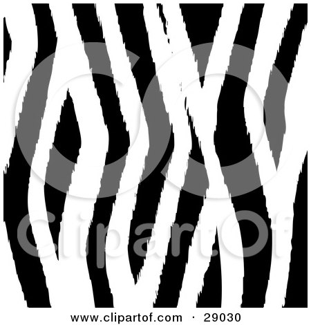 Clipart Illustration of a Background Pattern Of Black And White Zebra Stripe Fur by KJ Pargeter