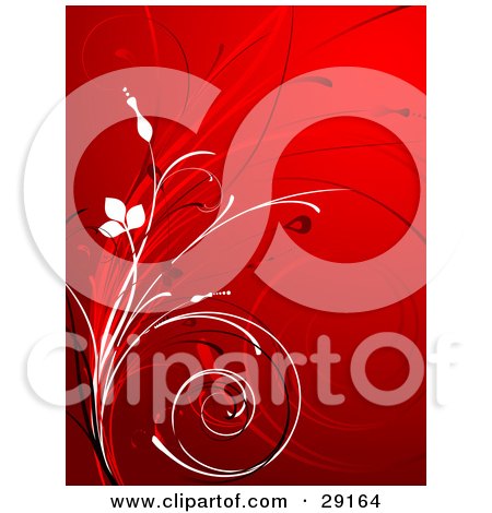 Clipart Illustration of White, Red And Black Plants Curling Over A Red Background by KJ Pargeter