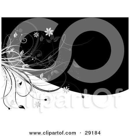 Clipart Illustration of a Plant Flourish With Flowers On The Left Side Of A Background Of White And Black by KJ Pargeter
