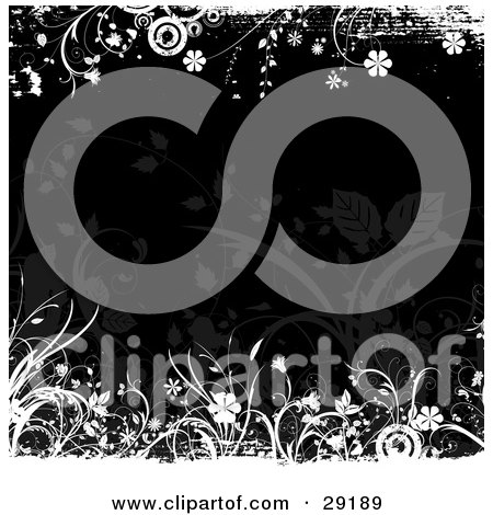 Clipart Illustration of a Dark Brown Background Bordered By White Flowers, Grasses, Circles And Grunge by KJ Pargeter