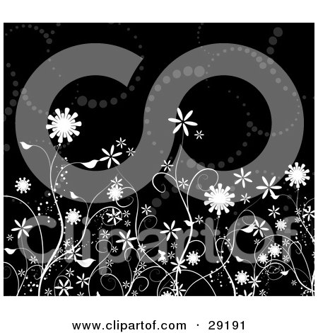 Clipart Illustration of White Flowers In A Garden Over A Black Background With Brown Circles by KJ Pargeter
