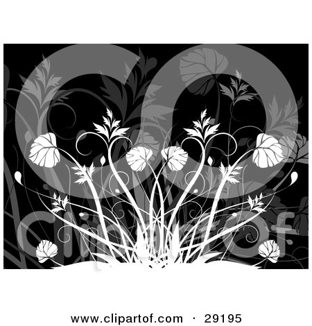 Clipart Illustration of White Leafy Plants And Grasses Over A Black Background With Faint Plants by KJ Pargeter