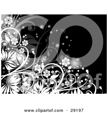 Clipart Illustration of Glowing White Flowers And Grasses On A Black Background by KJ Pargeter