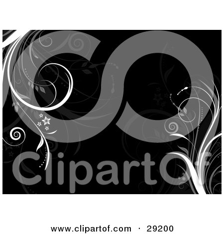 Clipart Illustration of a Black Background With White, Gray And Faint Grassy Flourishes by KJ Pargeter