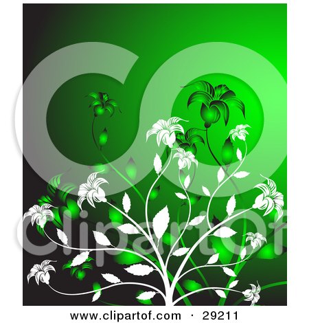 Clipart Illustration of White And Green Flowers Blooming Over A Bright Green Background by KJ Pargeter
