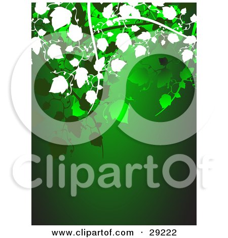 Clipart Illustration of Green And White Leafy Vines Hanging Over A Green Background by KJ Pargeter
