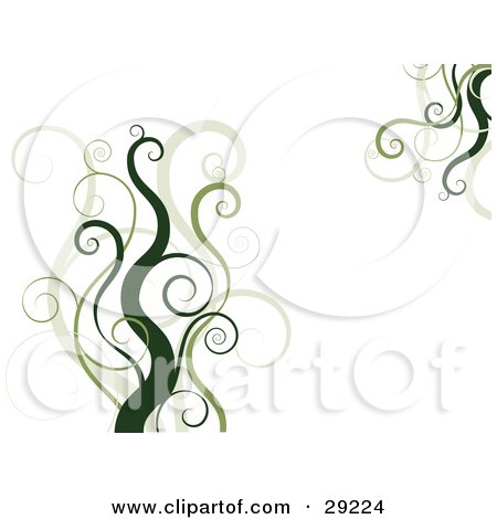 Clipart Illustration of a White Background With Dark And Light Green Curly Vines by KJ Pargeter